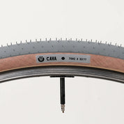 Ultradynamico Cava RACE tire - Grey